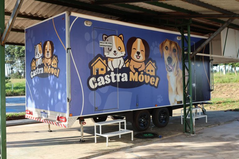 No momento, você está visualizando VISA de Naviraí mantém atendimentos de denúncias de maus-tratos a cães e gatos e castrações