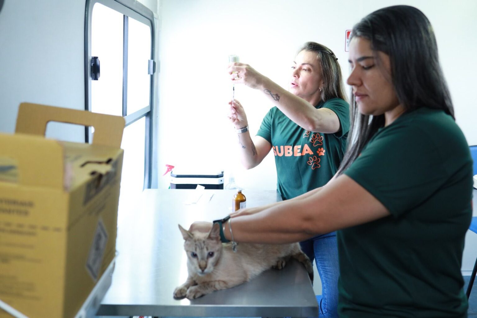 No momento, você está visualizando Consultório Móvel Veterinário leva atendimento para diversos bairros de Campo Grande no mês de julho