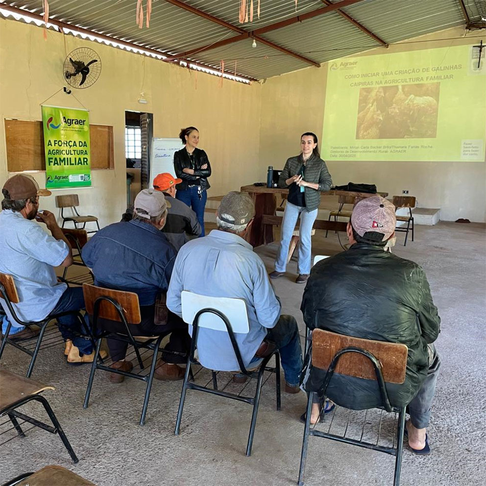 No momento, você está visualizando Agraer, Embrapa e Iagro reforçam prevenção à gripe aviária com foco na agricultura familiar