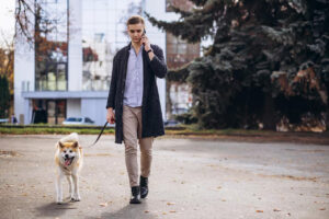 Leia mais sobre o artigo No Irã, caminhar com seu cachorro pode te fazer ir preso