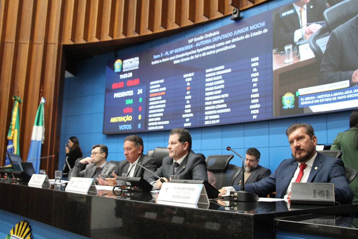 No momento, você está visualizando ALEMS: Projeto de Lei traz regras para a prática do balonismo em MS
