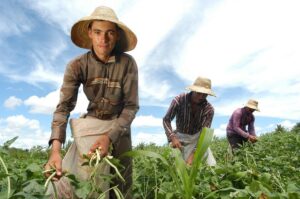 Leia mais sobre o artigo CMN reduz para R$ 200 mil limite de enquadramento no Proagro