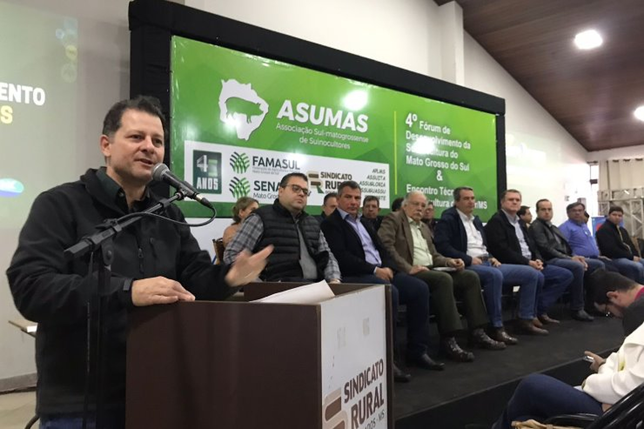 No momento, você está visualizando ALEMS: Semana da Suinocultura destaca a força do setor em Mato Grosso do Sul