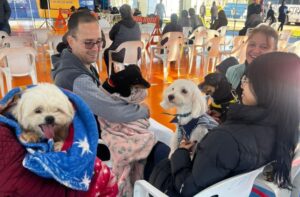 Leia mais sobre o artigo Em Três Lagoas, Caravana da Castração inicia segunda etapa com formação técnica para municípios, segue para Corumbá