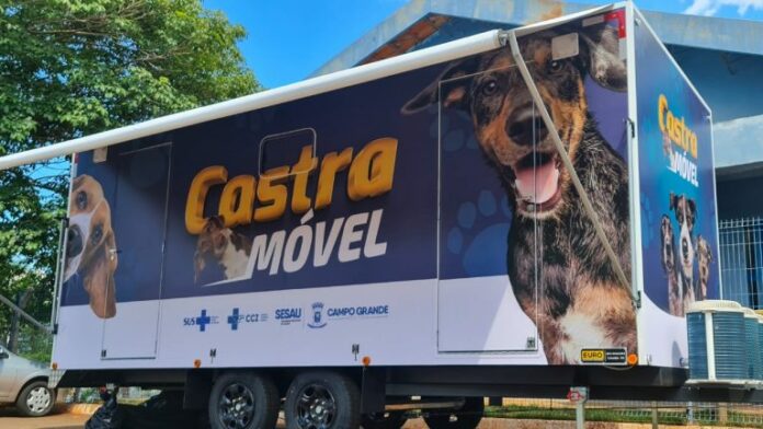 No momento, você está visualizando Atendimento veterinário gratuito para cães e gatos chega ao bairro Pioneiros nesta semana