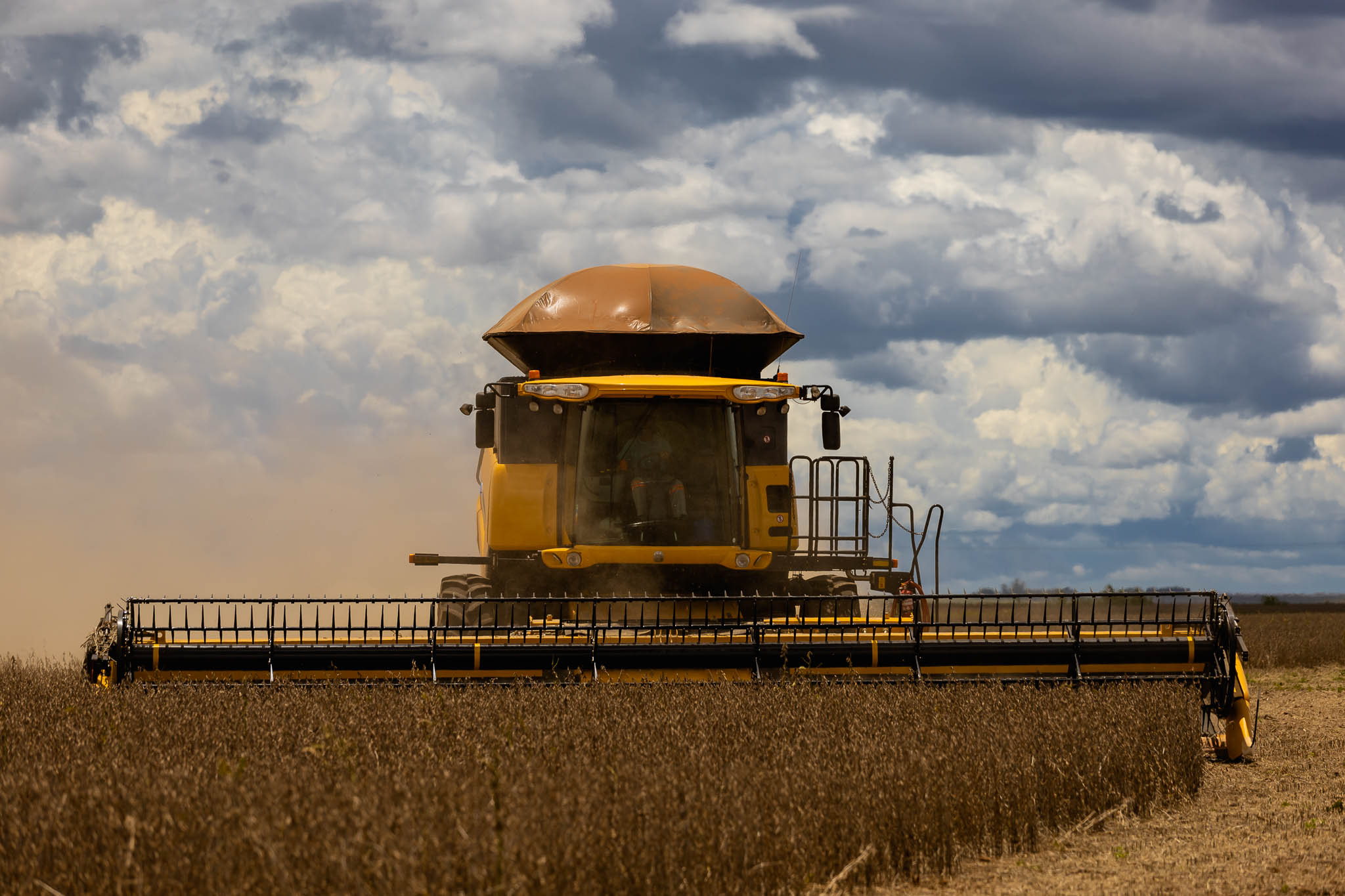 No momento, você está visualizando Alta nas Exportações de Soja e Milho do Brasil em Julho Impulsiona Mercado Agrícola