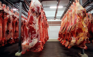 Leia mais sobre o artigo Frigoríficos de MS paralisam produção de carne destinada aos EUA após tarifaço de Trump