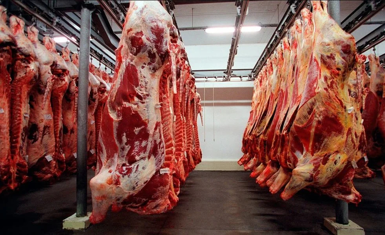 No momento, você está visualizando Frigoríficos de MS paralisam produção de carne destinada aos EUA após tarifaço de Trump