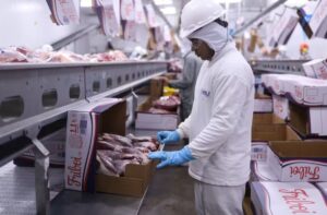Leia mais sobre o artigo Frigorífico oferece mais de 180 vagas de emprego em MS