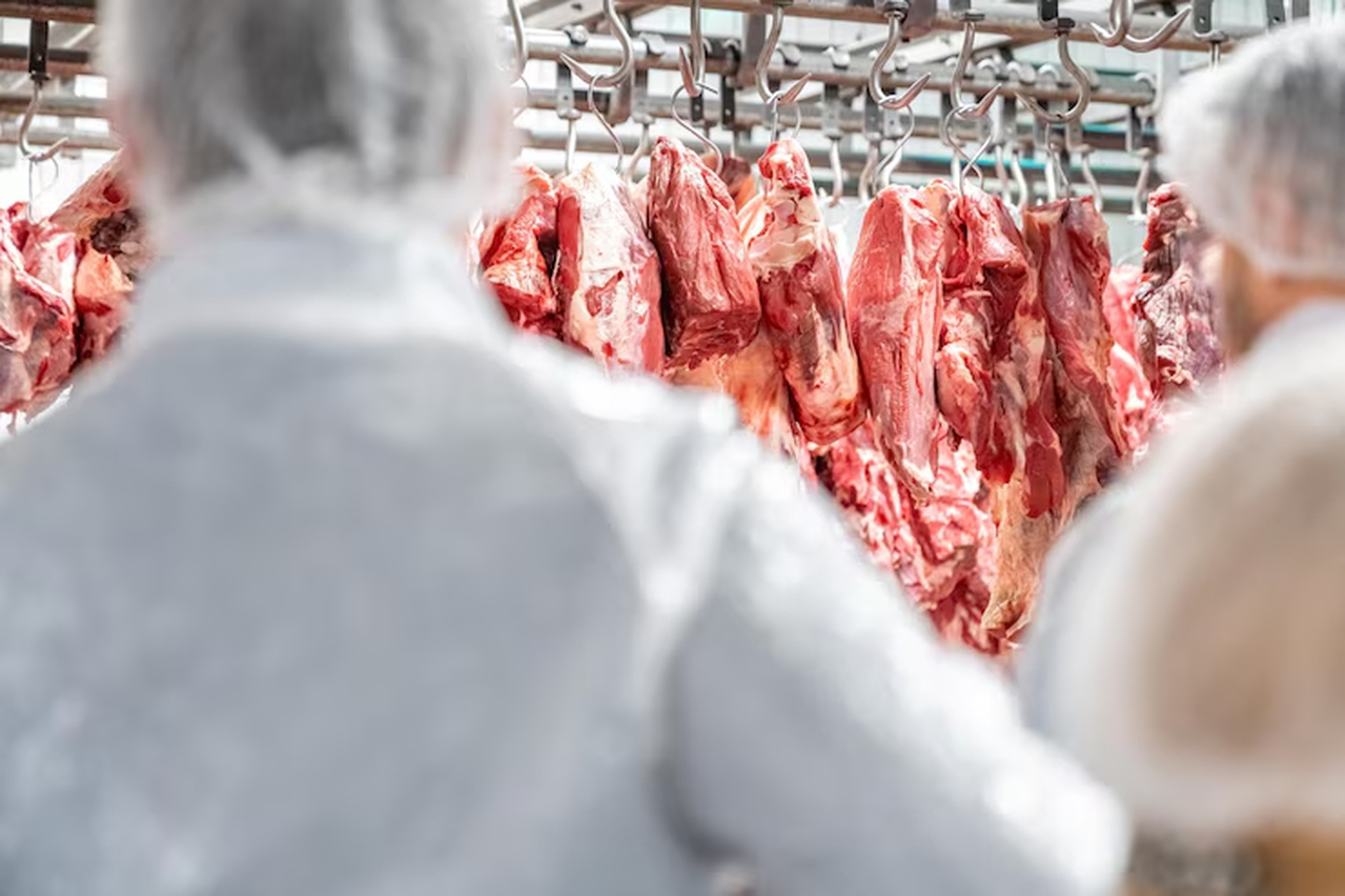 No momento, você está visualizando MS mira Chile e Egito como mercados alternativos para carne bovina após suspensão de exportações aos EUA