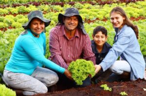 Leia mais sobre o artigo Novo recorde nas vendas da agricultura familiar é projetado após movimentação de R$ 5,1 milhões em MS