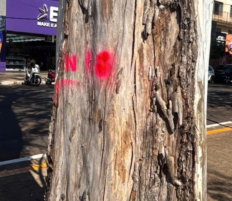 No momento, você está visualizando Prefeitura inicia plano de arborização para tornar Dourados mais verde e segura