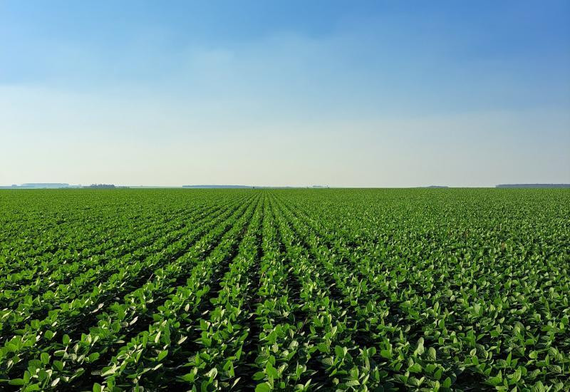 No momento, você está visualizando Mato Grosso do Sul terá certificação internacional para produção de soja e milho