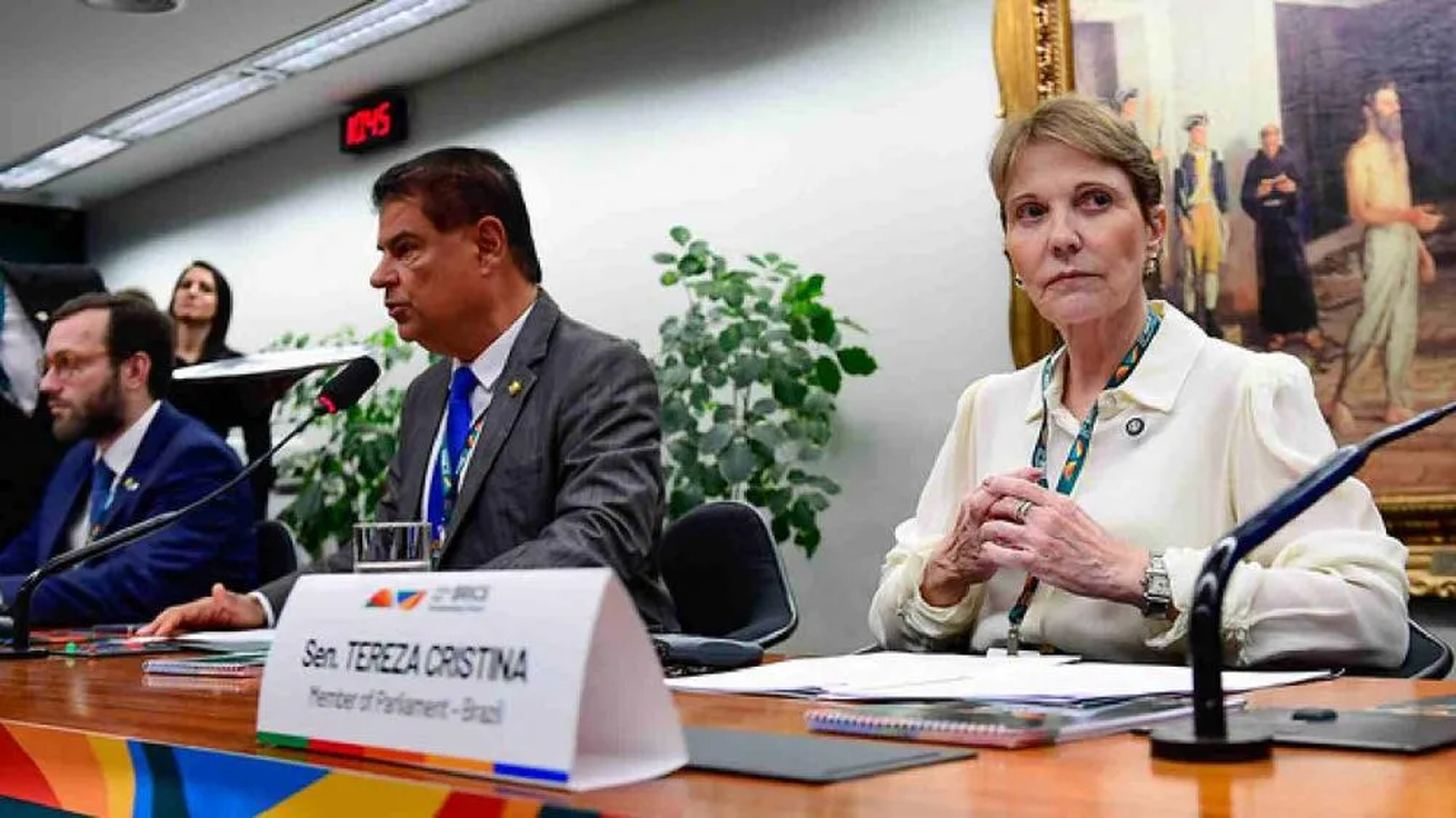 No momento, você está visualizando Senadores se reúnem com parlamentares democratas nos EUA e chamam atenção para prejuízos do tarifaço a estados americanos