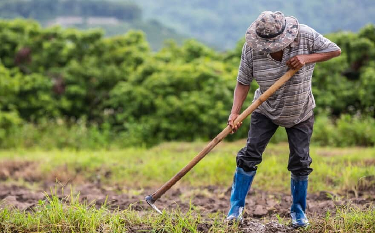 No momento, você está visualizando SERASA EXPERIAN: Inadimplência cresce no agro e atinge 7,9% no 1º trimestre