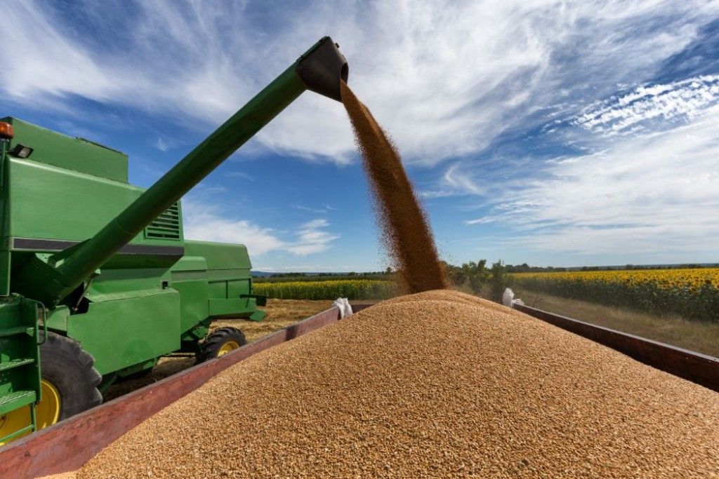 No momento, você está visualizando SOJA: Mercado global projeta alta para o segundo semestre de 2025