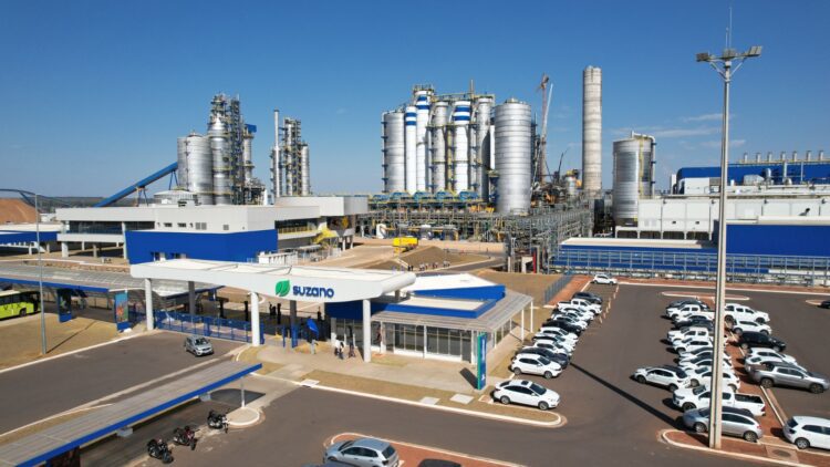 No momento, você está visualizando Celulose abre vagas para operador, técnico e analista em MS