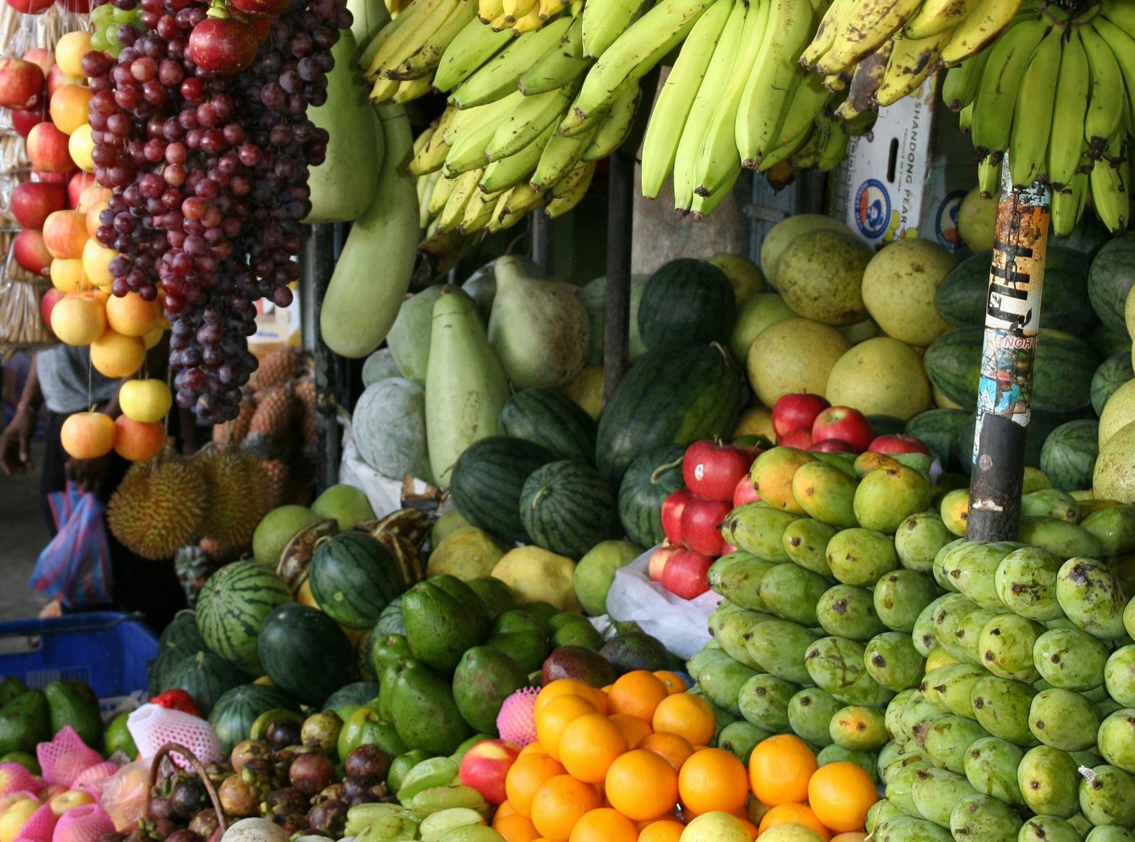 No momento, você está visualizando Governo foca em 5 produtos do agro para destinos alternativos aos EUA