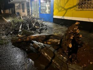 Leia mais sobre o artigo Equipes da Prefeitura atuam rapidamente após vendaval para restabelecer segurança viária em Naviraí