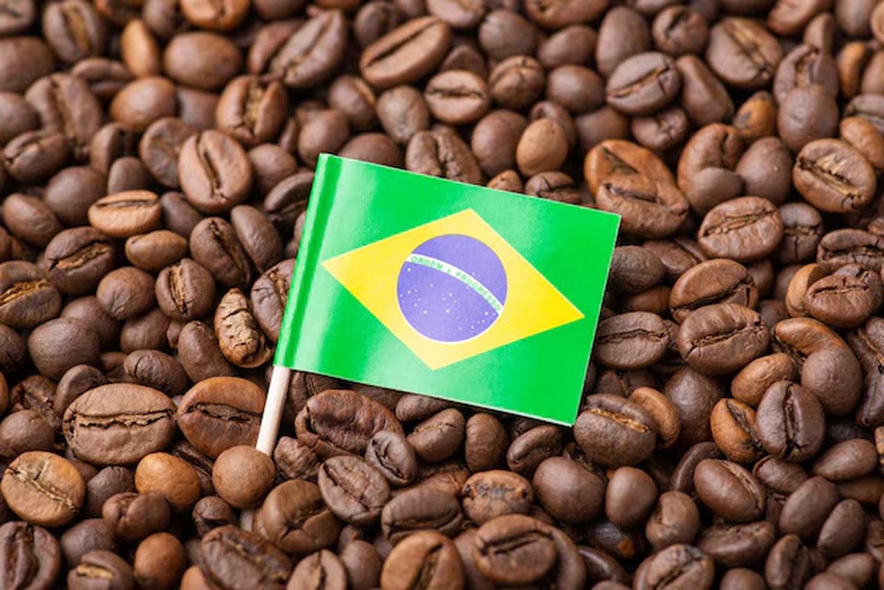 No momento, você está visualizando Traders correm para desembarcar café brasileiro antes da tarifa de 50% de Trump