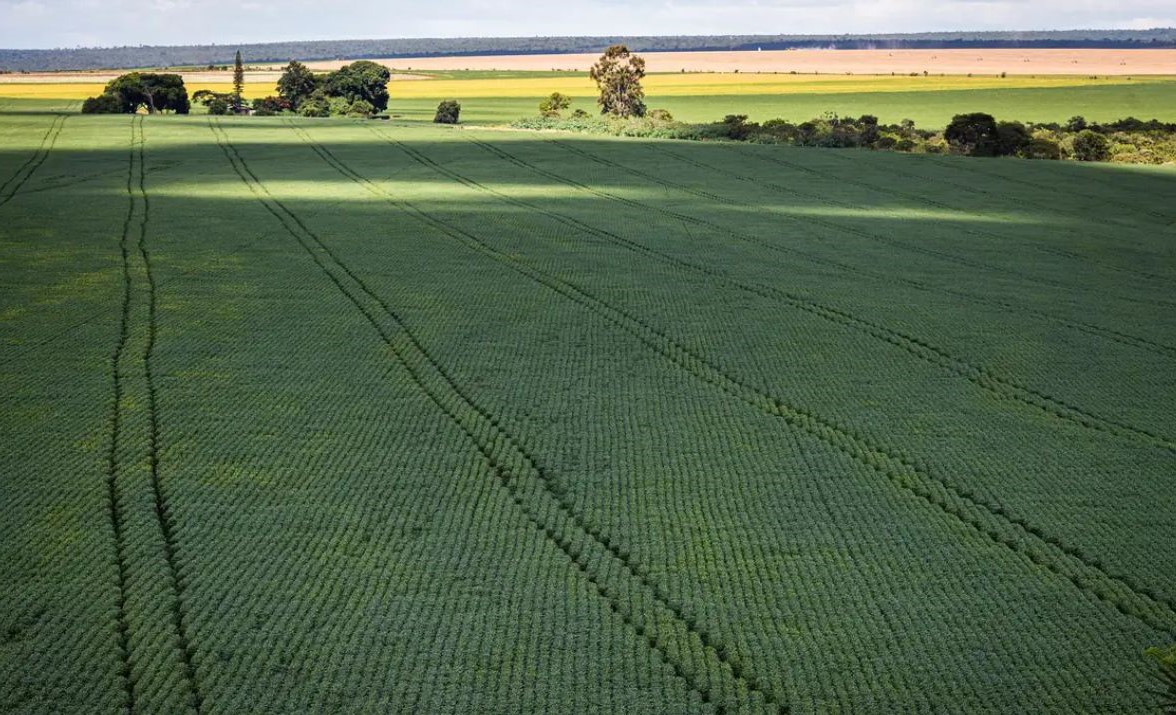 No momento, você está visualizando COP30: Agro quer se posicionar como parte da solução, diz associação