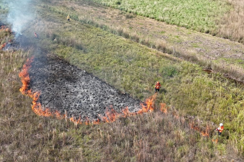 No momento, você está visualizando ALEMS AGOSTO CINZA: MS registra até mil incêndios no mês mais crítico e reforça alerta
