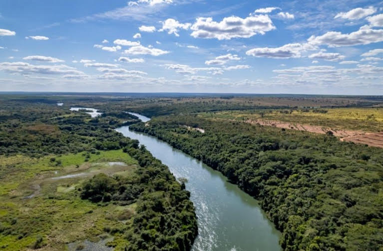 No momento, você está visualizando Arauco capta US$ 2,2 bi para fábrica de celulose em Inocência