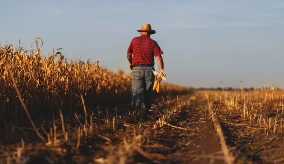No momento, você está visualizando Agricultura familiar renegocia mais de R$ 6 bilhões em dívidas pelo Desenrola Rural