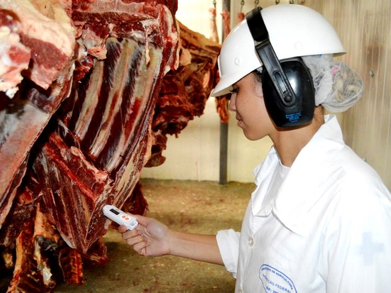 No momento, você está visualizando Em meio ao tarifaço, governo abre mercado de carne nas Filipinas