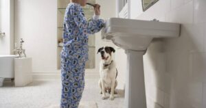 Leia mais sobre o artigo O que seu cachorro quer dizer ao te seguir até o banheiro?