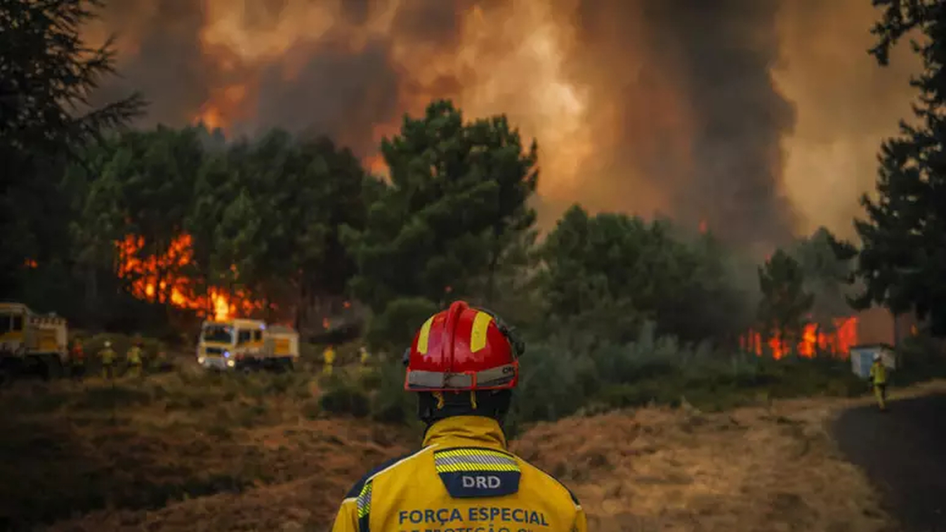 No momento, você está visualizando Incêndios florestais castigam Grécia, Portugal e Espanha