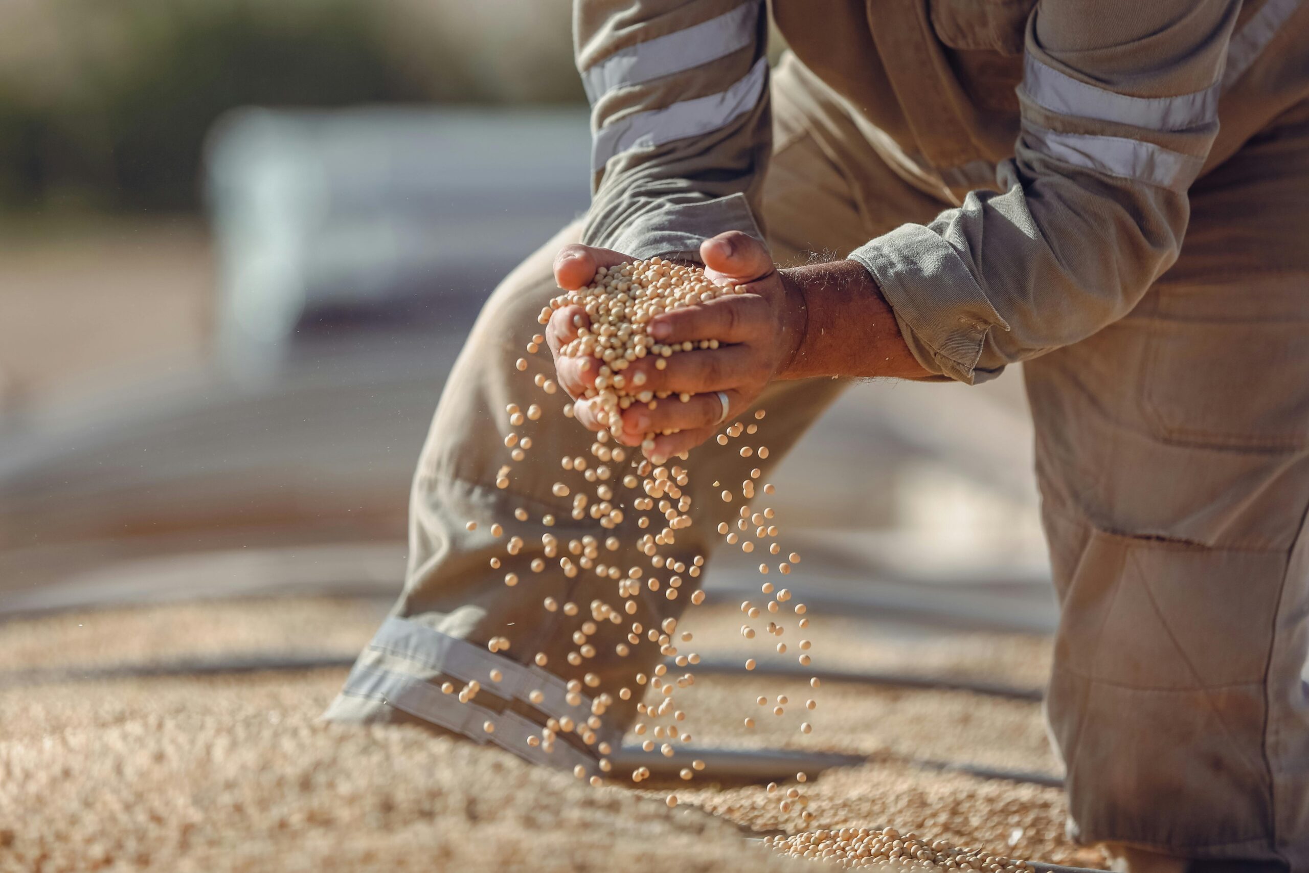 No momento, você está visualizando PIB da cadeia da soja e do biodiesel tem previsão de forte expansão em 2025