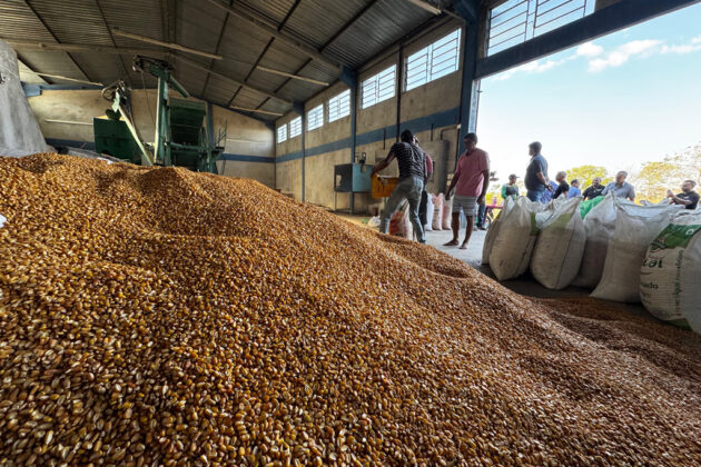 No momento, você está visualizando Prefeitura de Corumbá confirma investimento de R$ 600 mil na agricultura familiar