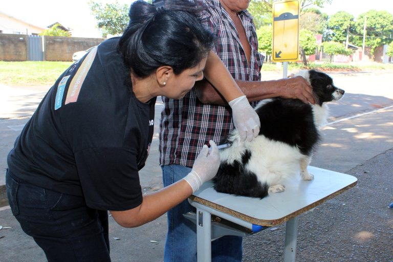 No momento, você está visualizando Naviraí inicia nesta segunda-feira a Campanha de Vacinação Antirrábica na zona rural