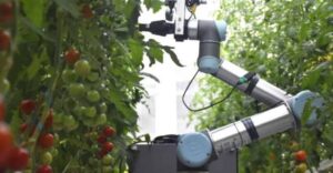 Leia mais sobre o artigo CHINA: Robôs e IA assumem polinização de plantas no dia a dia