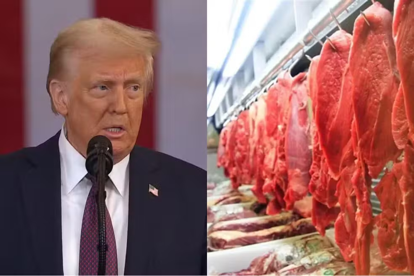 No momento, você está visualizando TARIFAÇO DE TRUMP: Entenda o impacto para o agro do Brasil e para os EUA em 5 pontos
