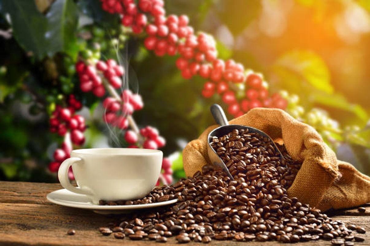 No momento, você está visualizando Brasil eleva vendas de café para México e Colômbia após tarifas dos EUA