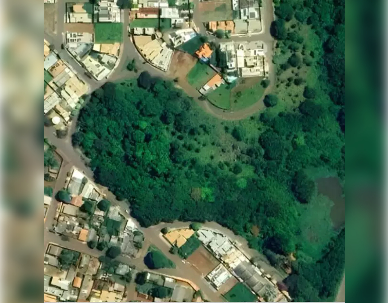 No momento, você está visualizando Câmara promove audiência sobre criação de Horto Florestal em Campo Grande