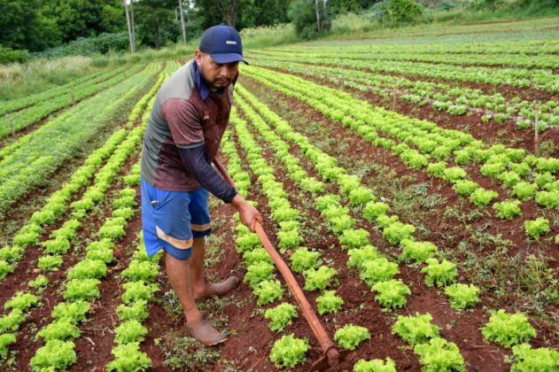 No momento, você está visualizando Prefeitura formaliza adesão de agricultores ao Programa de Aquisição de Alimentos