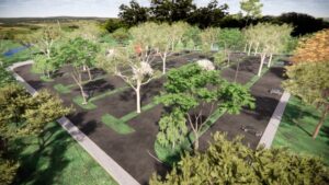 Leia mais sobre o artigo Campo Grande terá parque turístico em área de 28 hectares com cachoeiras e mirantes