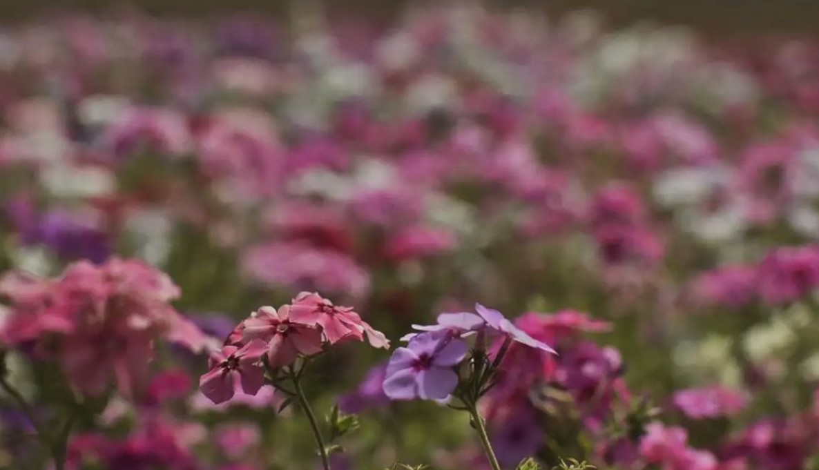 No momento, você está visualizando Primavera começa com chegada de frente fria, temporais e fortes ventos