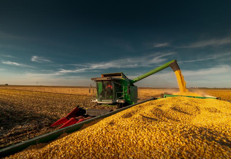 No momento, você está visualizando Mato Grosso do Sul já colheu mais de dois milhões de hectares de milho