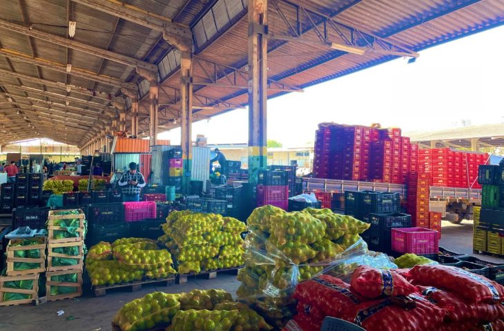 No momento, você está visualizando Mato Grosso do Sul amplia participação na Ceasa, com aumento de 18,78 % no volume comercializado