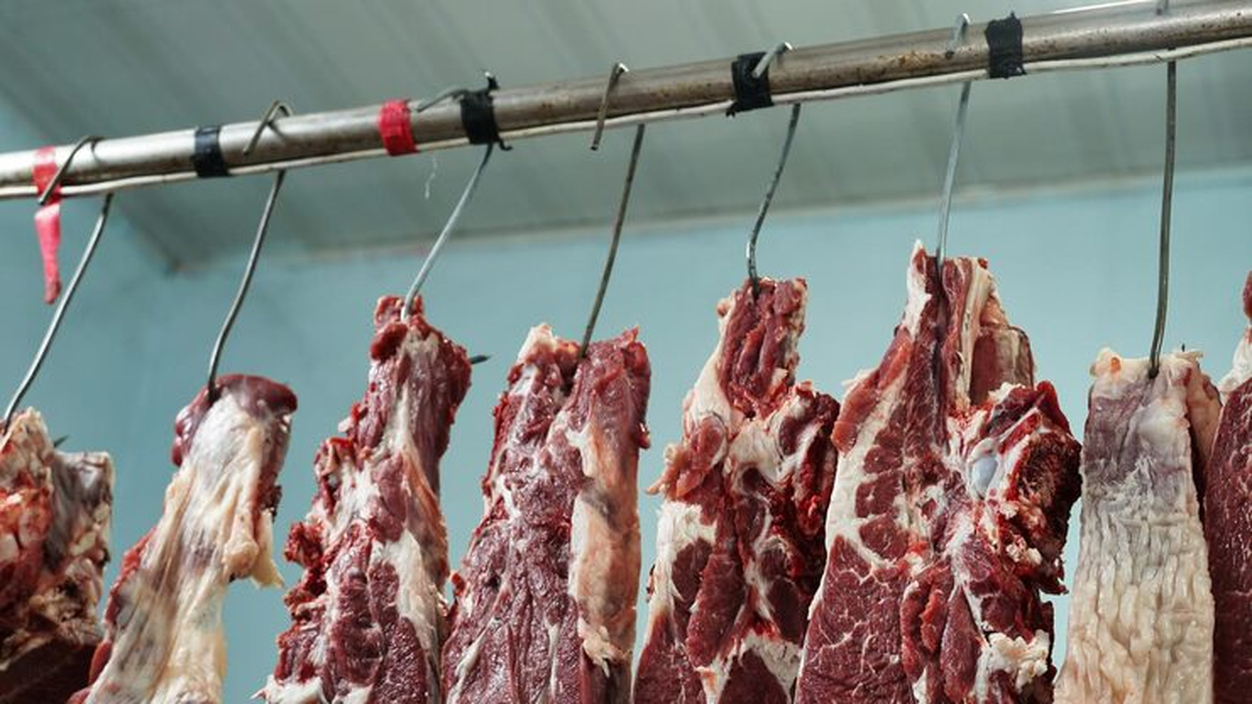 No momento, você está visualizando Exportação de carne bovina do Brasil crescerá 12% em 2025 apesar de taxas dos EUA, prevê Abiec