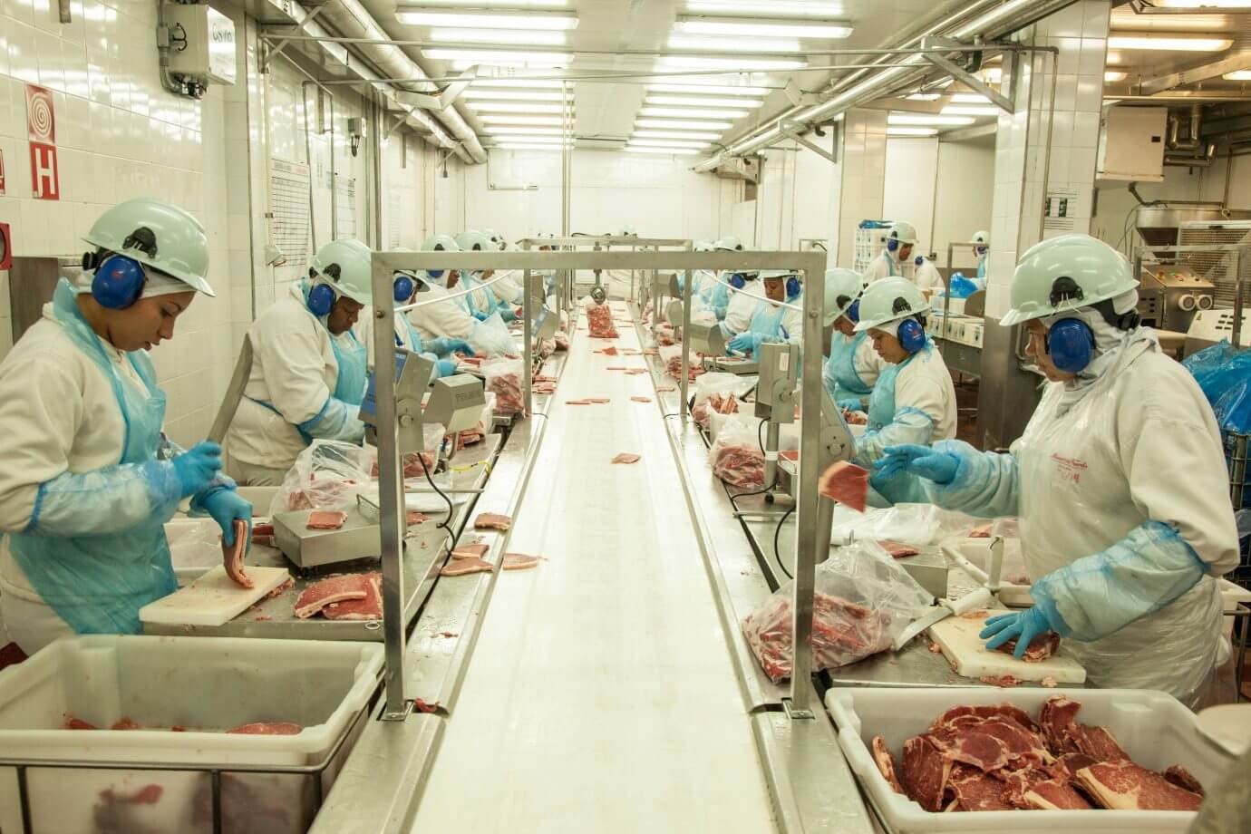 No momento, você está visualizando Exportação de carnes ignora Trump e cresce mais de 50% mesmo depois de tarifaço