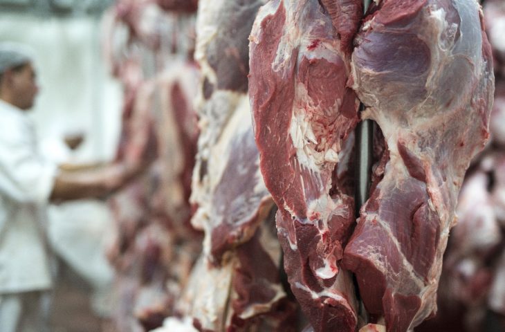 No momento, você está visualizando Exportações de MS somam US$ 7,24 bilhões até agosto e carne bovina cresce 43,7% no acumulado do ano