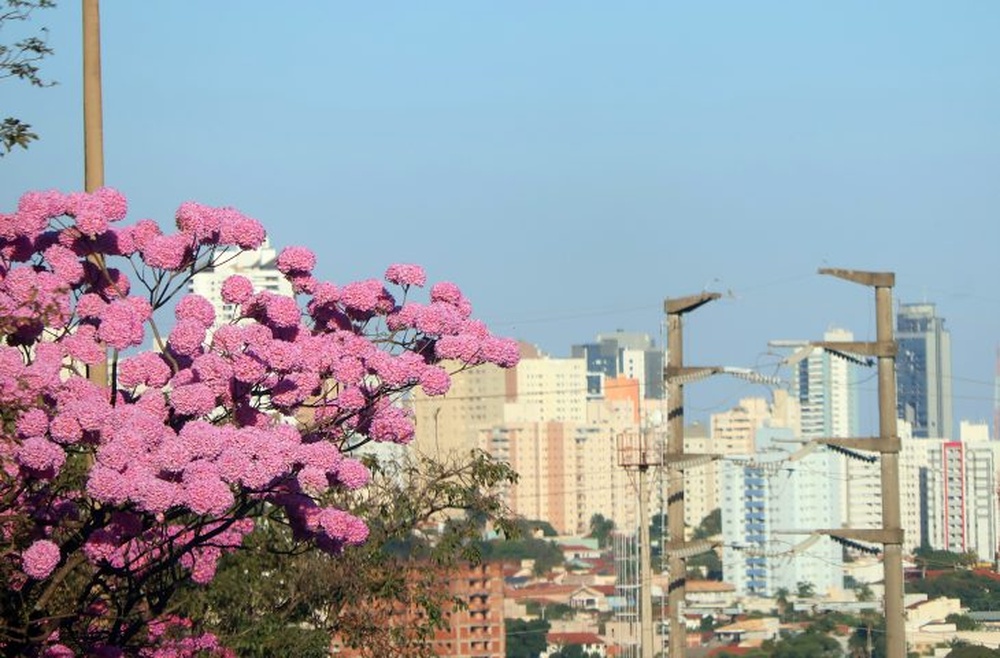 No momento, você está visualizando Fim de semana será de calor intenso e tempo seco em MS; confira
