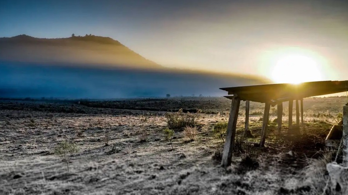 No momento, você está visualizando Governo abre crédito de R$ 12 bilhões para produtores rurais