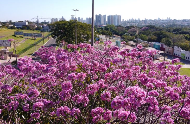 No momento, você está visualizando Mato Grosso do Sul lança planos estratégicos de turismo para Campo Grande dos Ipês e Vale das Águas