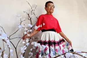 Leia mais sobre o artigo ALEMS: Semana da Pessoa Idosa; quando a vida recomeça depois dos sessenta